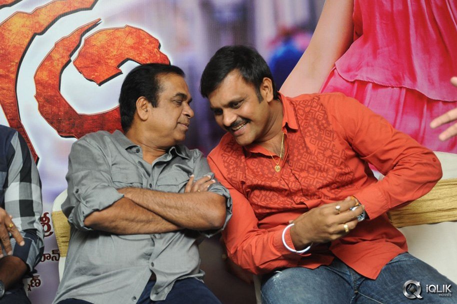 Loukyam-Movie-Platinum-Disc-Function